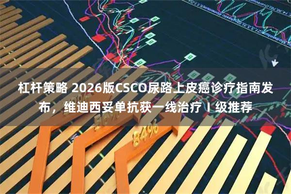 杠杆策略 2026版CSCO尿路上皮癌诊疗指南发布，维迪西妥单抗获一线治疗Ⅰ级推荐